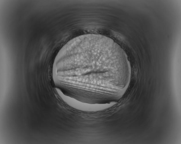 X0000086001060200704131800