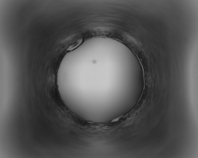 X0000086001061200704131800