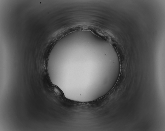 X0000086001062200704131800