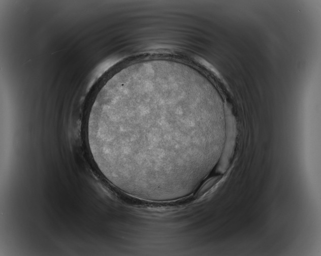 X0000086001066200704131800