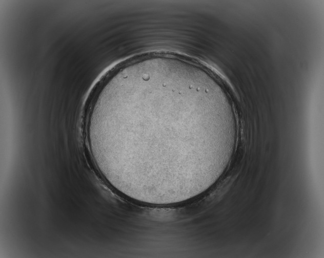 X0000086001068200704131800