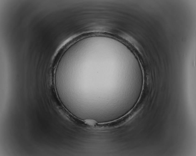 X0000086001069200704131800