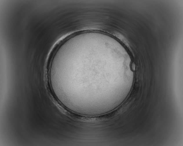 X0000086001072200704131800