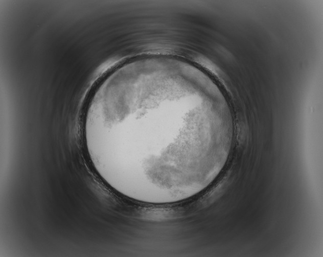 X0000086001074200704131800