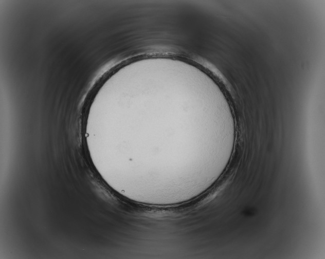 X0000086001075200704131800