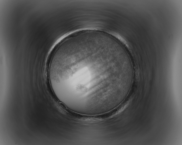 X0000086001077200704131800