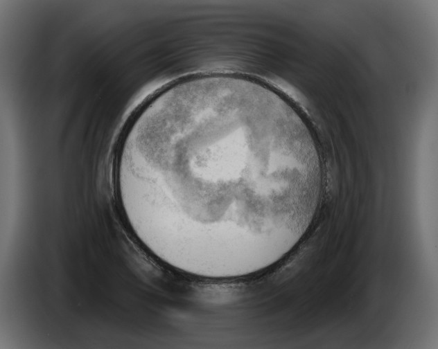 X0000086001078200704131800