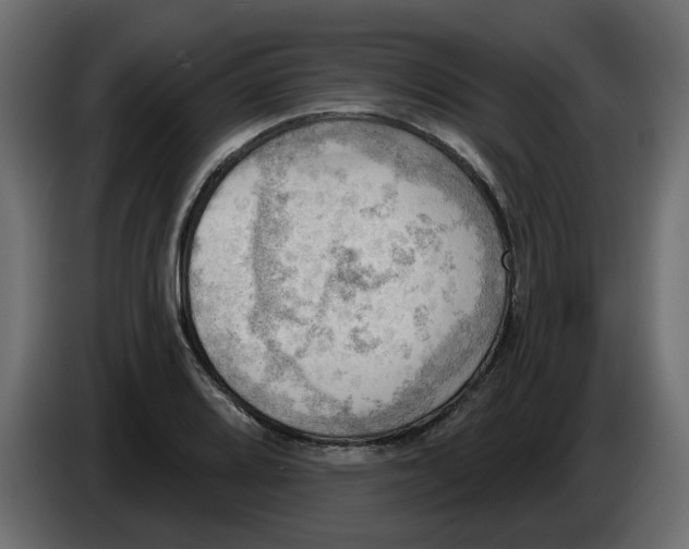 X0000086001080200704131800