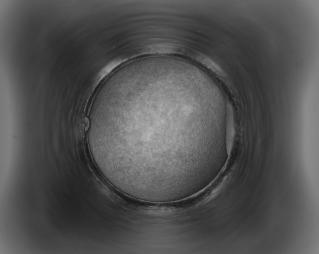 X0000086001081200704131800