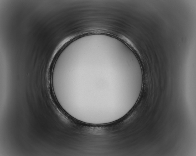 X0000086001082200704131800