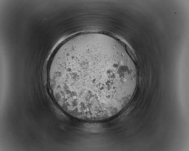 X0000086001083200704131800