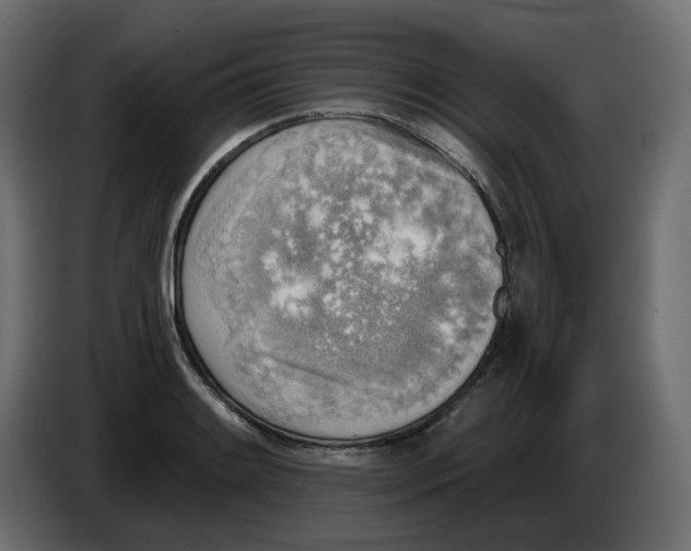 X0000086001084200704131800