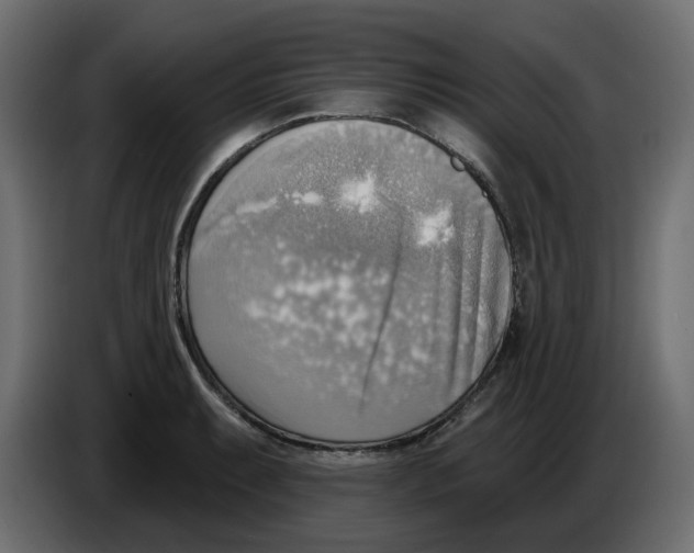 X0000086001087200704131800