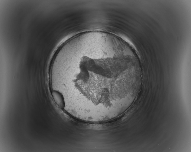 X0000086001088200704131800