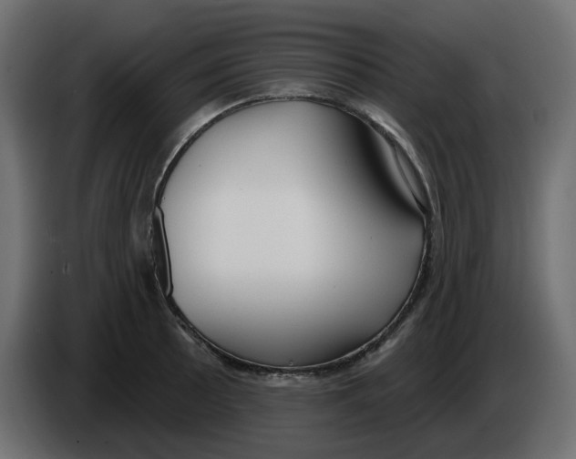 X0000086001089200704131800