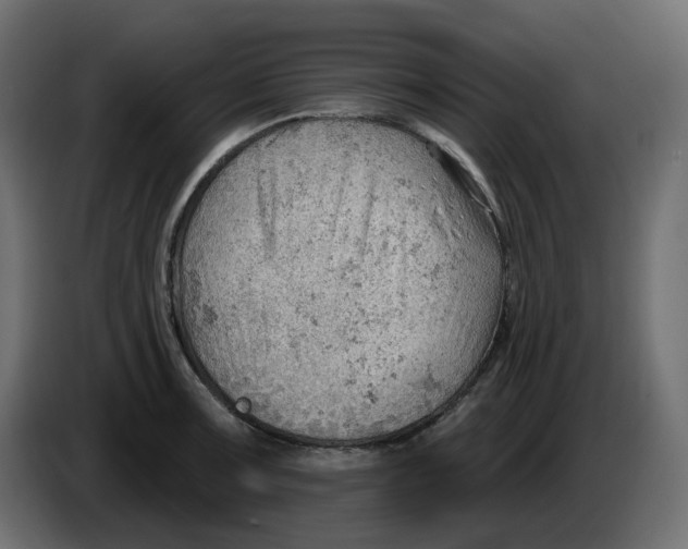 X0000086001091200704131800