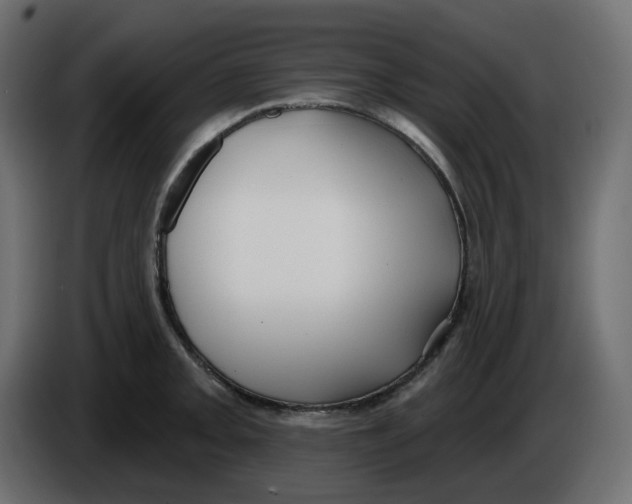 X0000086001093200704131800