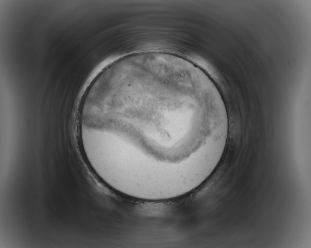 X0000086001094200704131800