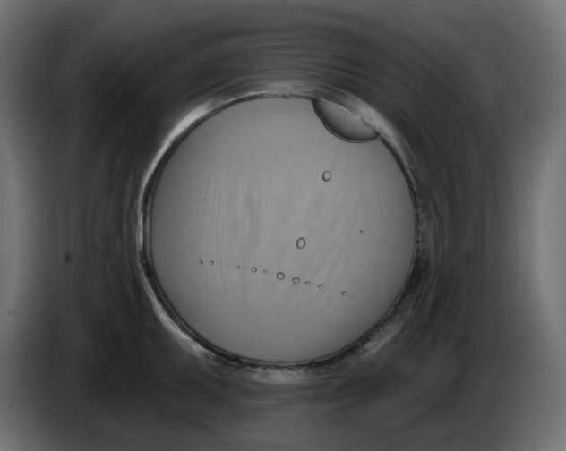 X0000086001095200704131800