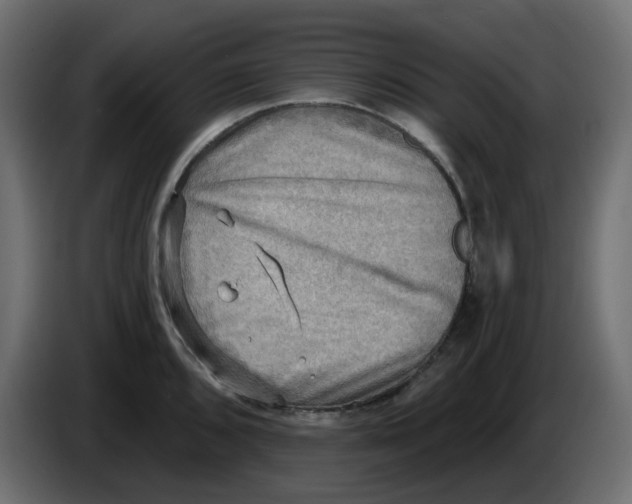 X0000086001096200704131800