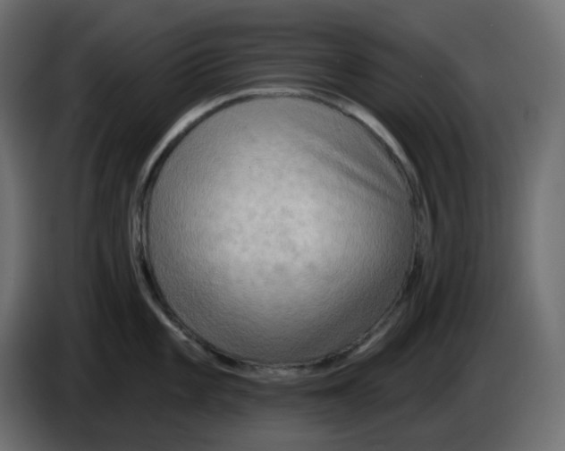 X0000086001101200704131800