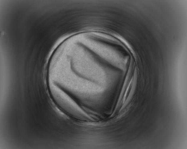 X0000086001102200704131800