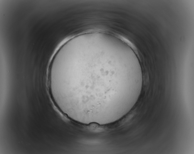 X0000086001103200704131800