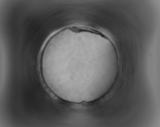 X0000086001104200704131800