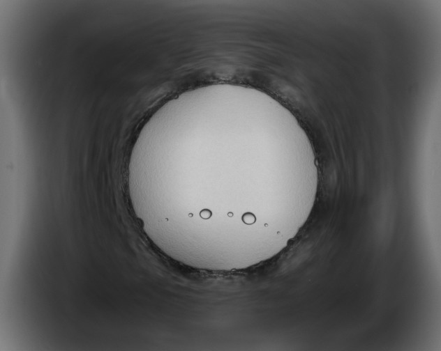 X0000086001105200704131759