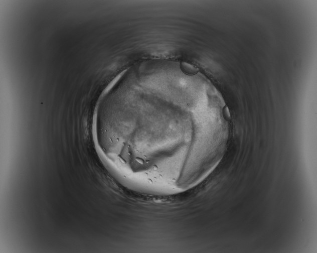 X0000086001106200704131759