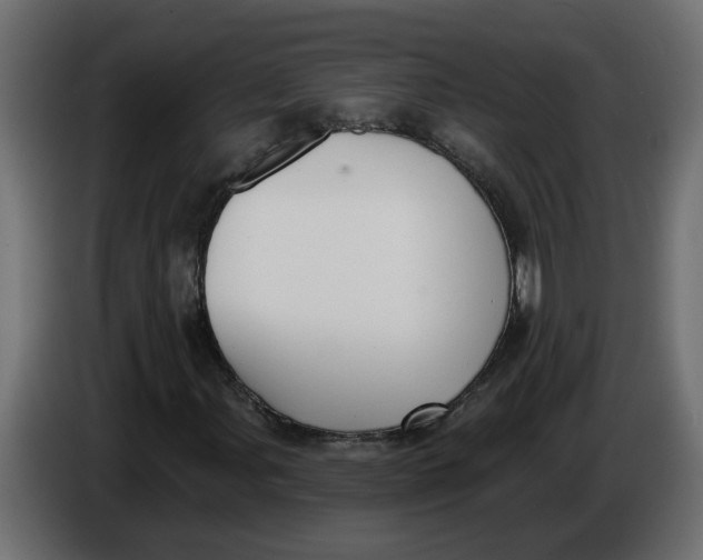 X0000086001107200704131759