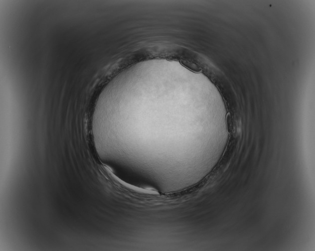 X0000086001108200704131759