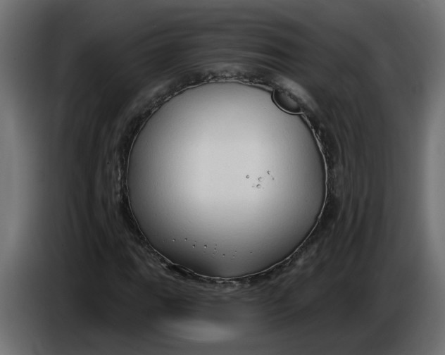 X0000086001111200704131759