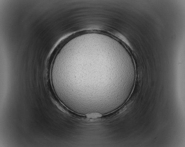 X0000086001116200704131759