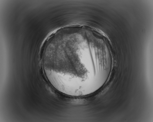 X0000086001117200704131759