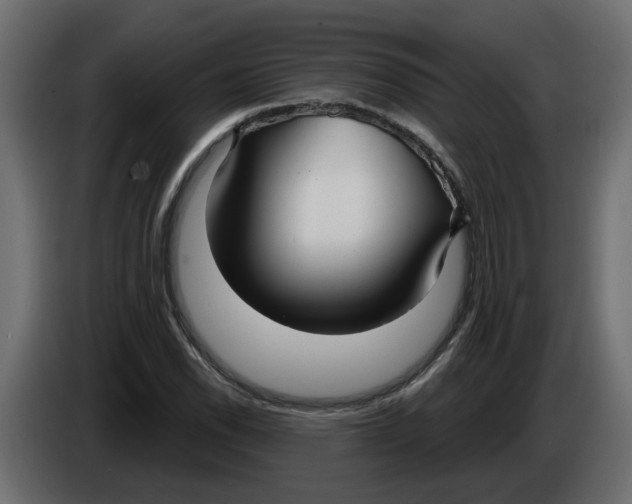 X0000086001118200704131759