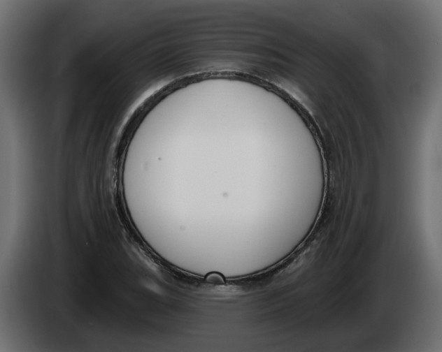 X0000086001119200704131759