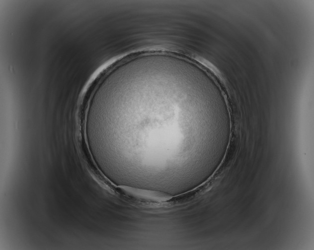 X0000086001120200704131759