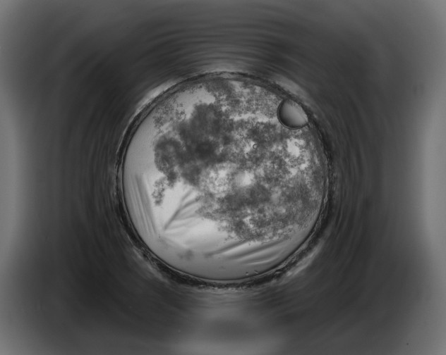 X0000086001121200704131759