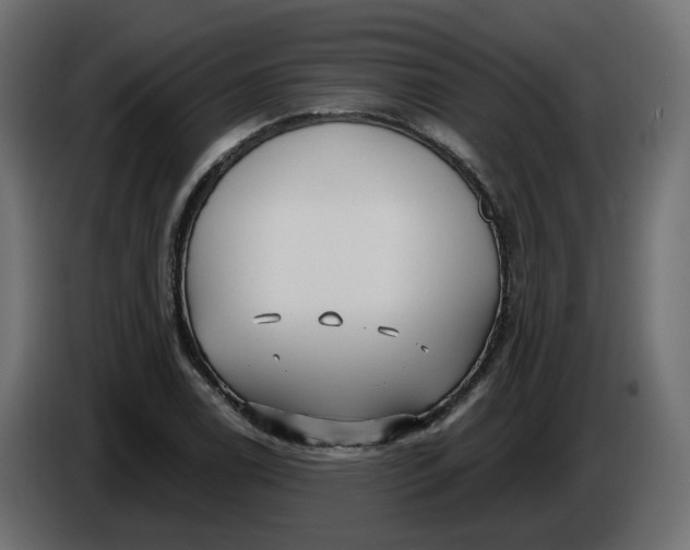 X0000086001122200704131759