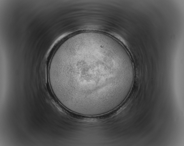 X0000086001123200704131759