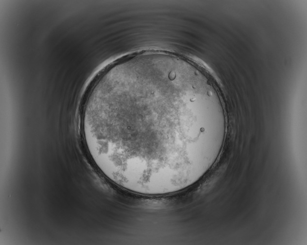 X0000086001125200704131759