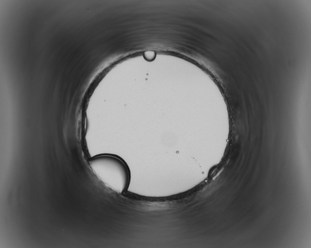 X0000086001126200704131759