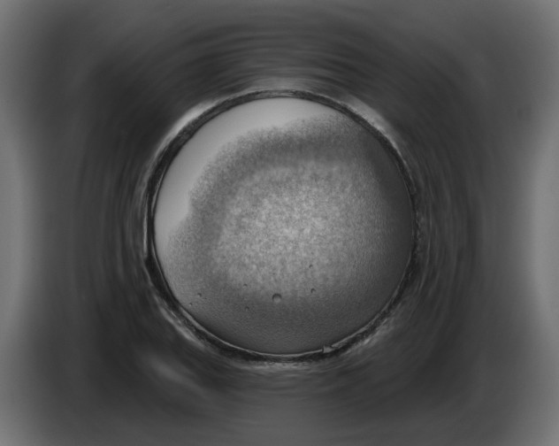 X0000086001127200704131759