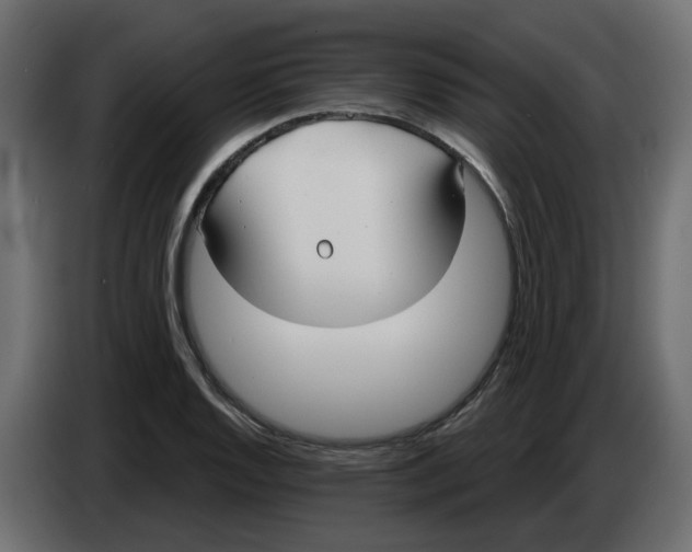 X0000086001128200704131759