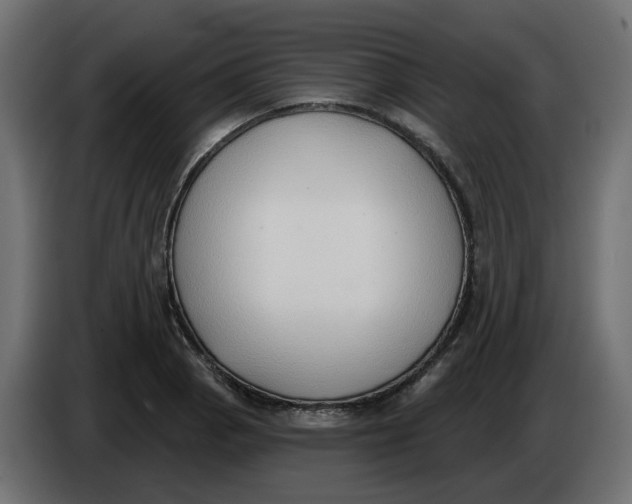 X0000086001129200704131759