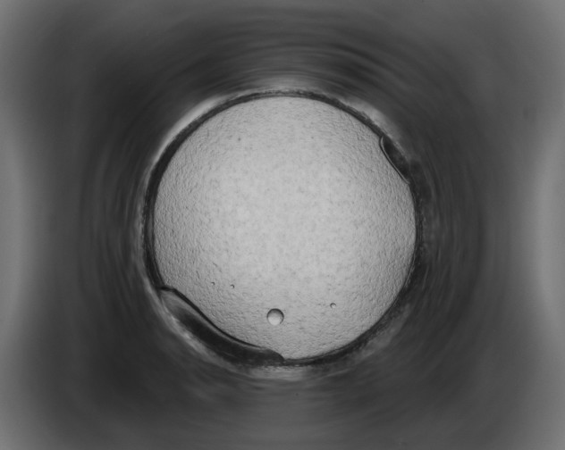 X0000086001134200704131759