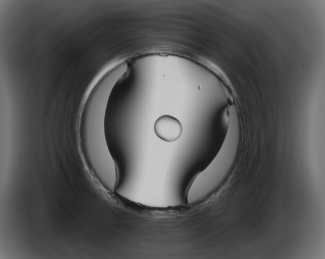 X0000086001138200704131759