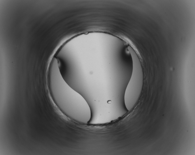 X0000086001140200704131759