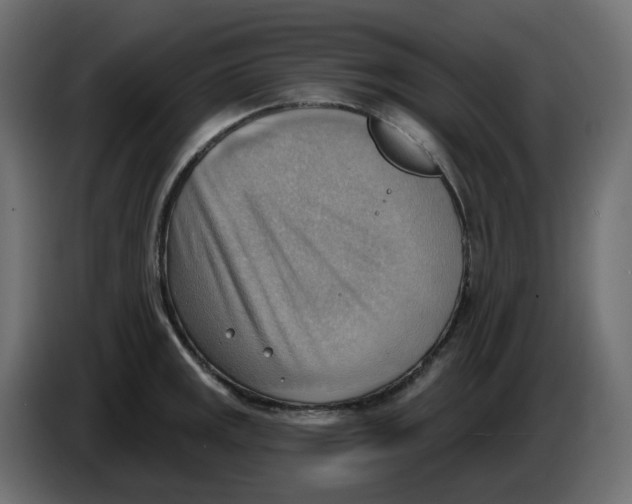 X0000086001141200704131800